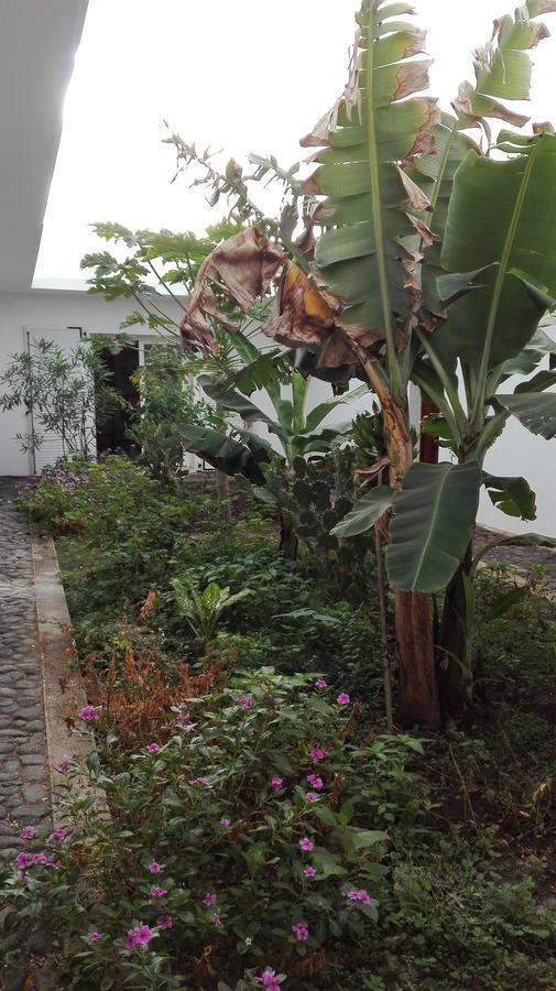 Villa Sao Jose Pedra Badejo  Esterno foto