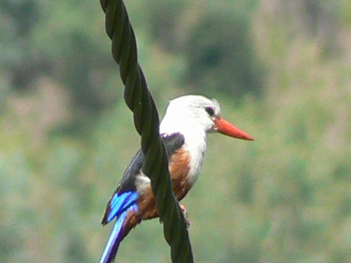 Villa Sao Jose Pedra Badejo  Esterno foto